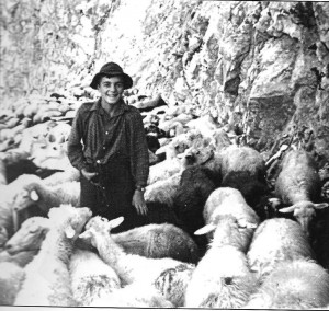 Lojz Hosner pastir v 50. letih