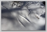 dsc00010.jpg