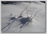 dsc00012.jpg