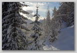 dsc00029.jpg