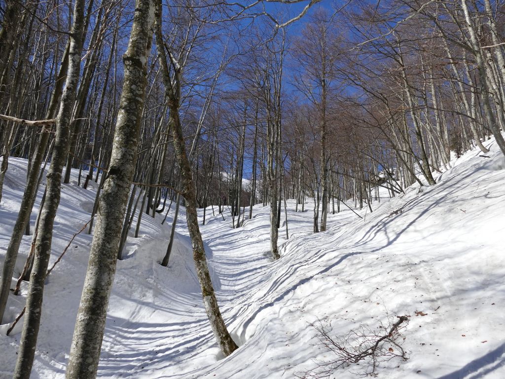 p1140444.jpg